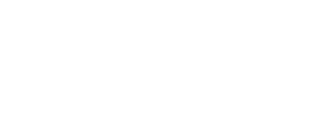 AppSec Virtual Conference logo